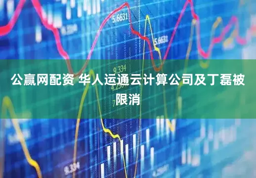 公赢网配资 华人运通云计算公司及丁磊被限消